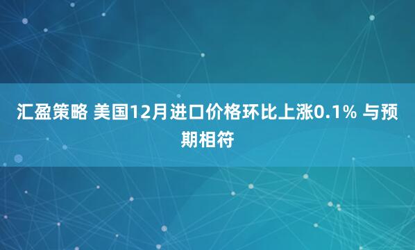 汇盈策略 美国12月进口价格环比上涨0.1% 与预期相符